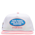PAINT & COLOR SERVICES HAT