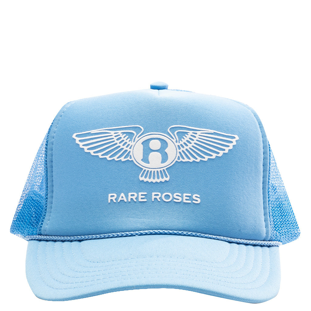 SKY BLUE WINGS TRUCKER
