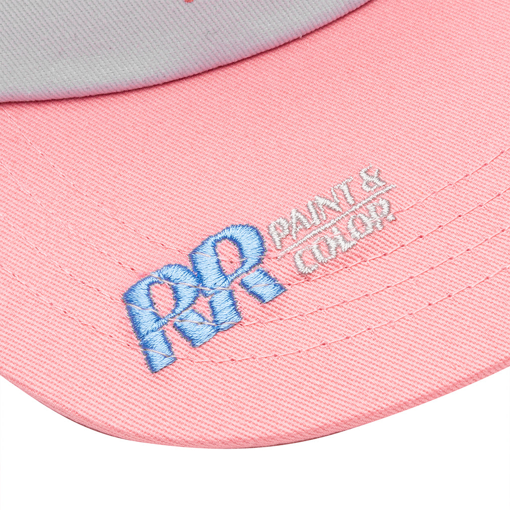 PAINT & COLOR SERVICES HAT