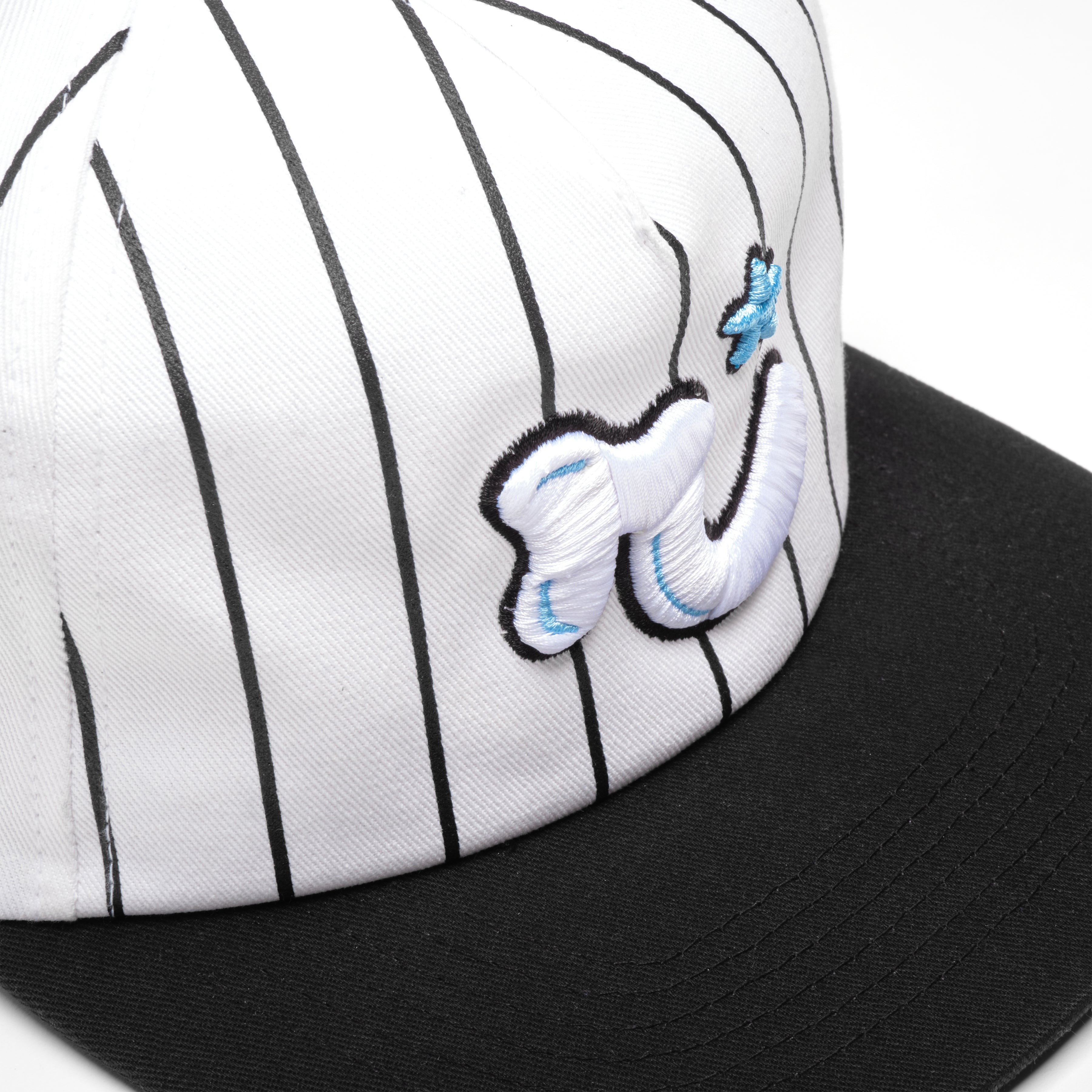 R² PINSTRIPE SNAPBACK