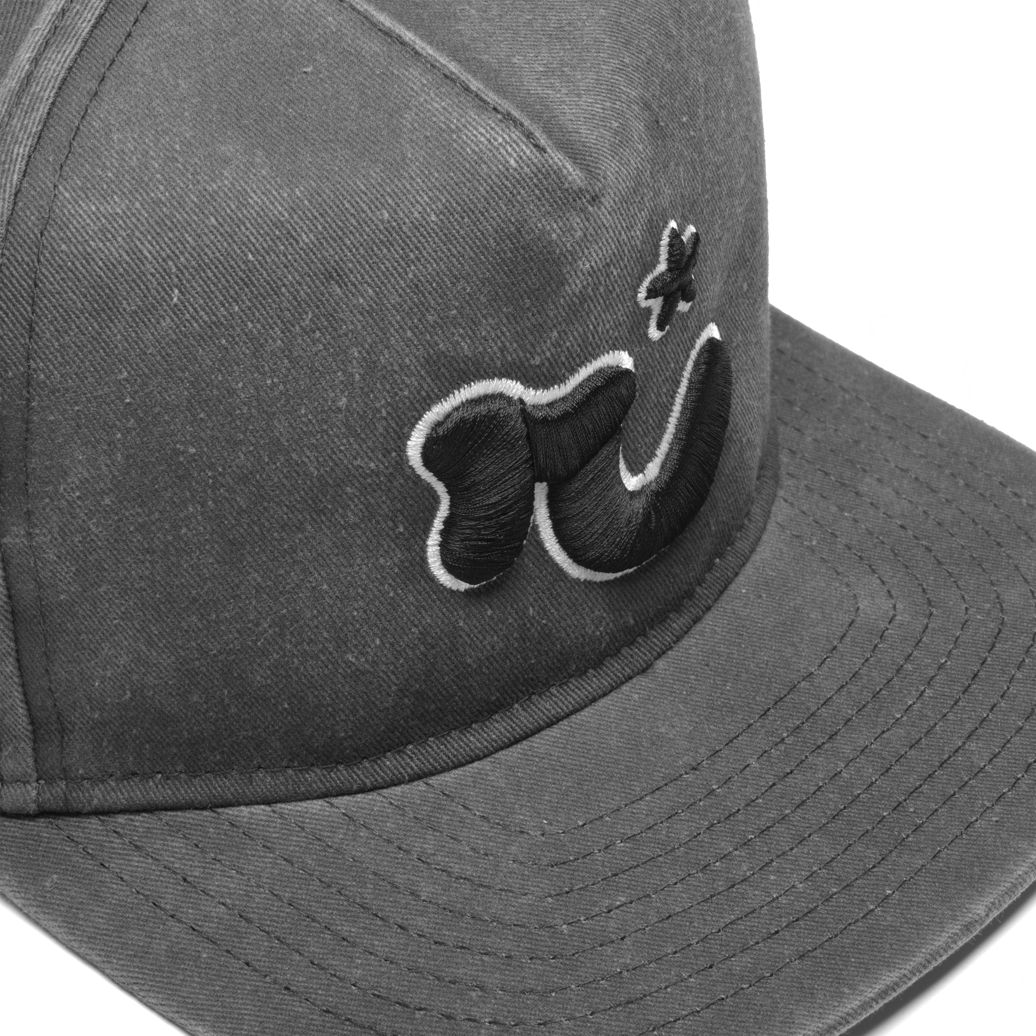 R² WASHED SNAPBACK HAT